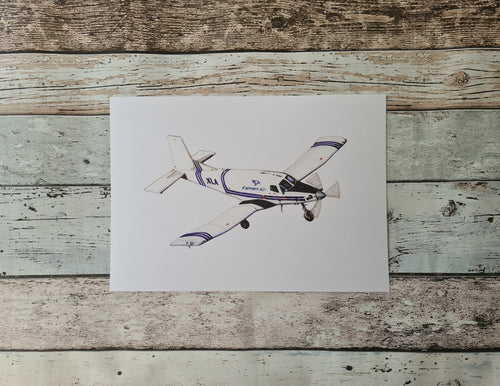 Top Dressing Plane Print
