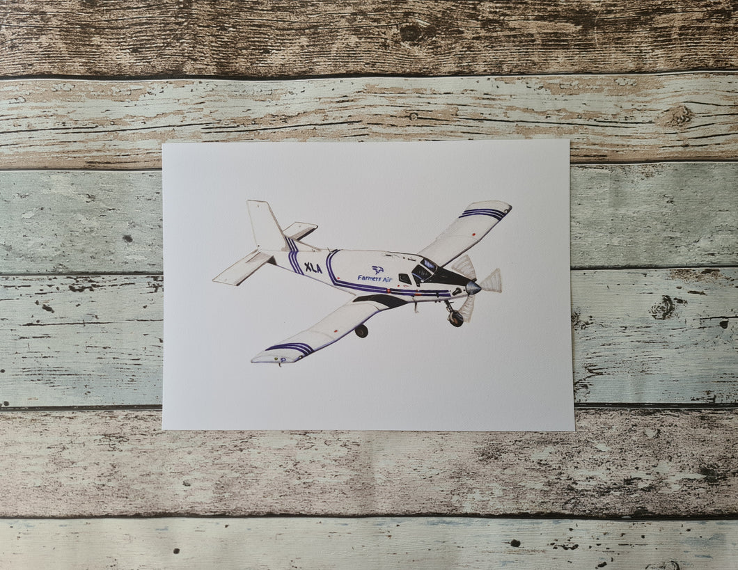 Top Dressing Plane Print